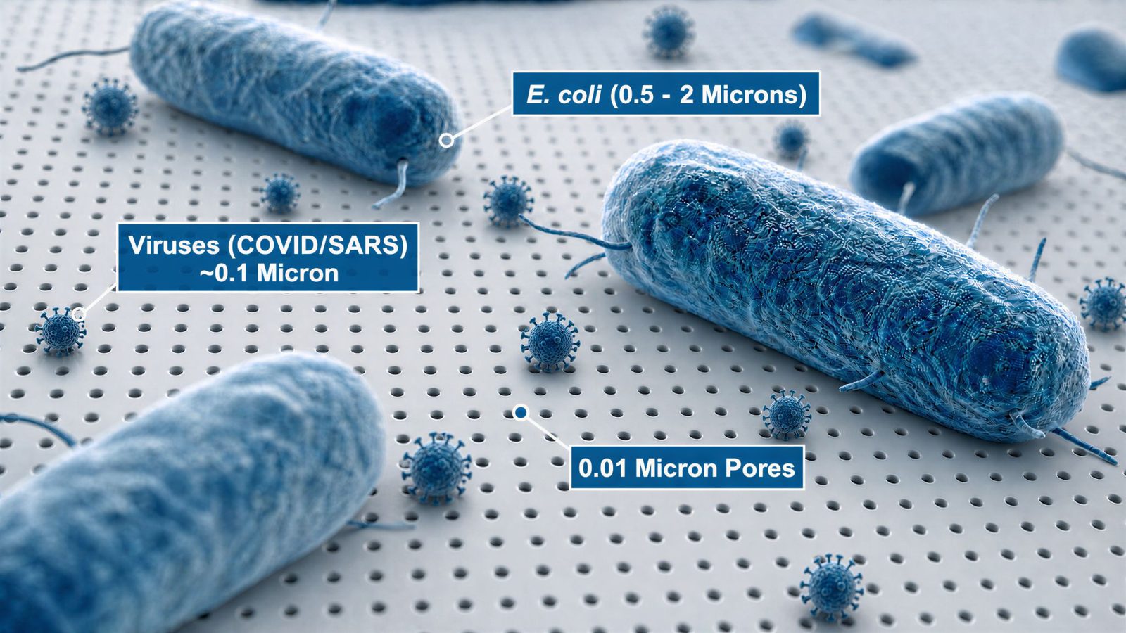 E. coli and viruses blocked by 0.01 micron ultrafiltration pores